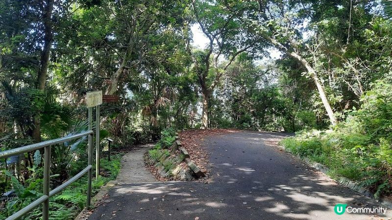 【港島行山篇】班納山、香港仔上水塘/下水塘、下塘坑