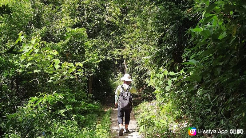 【港島行山篇】班納山、香港仔上水塘/下水塘、下塘坑