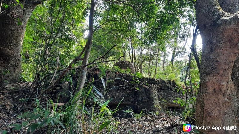 【港島行山篇】班納山、香港仔上水塘/下水塘、下塘坑