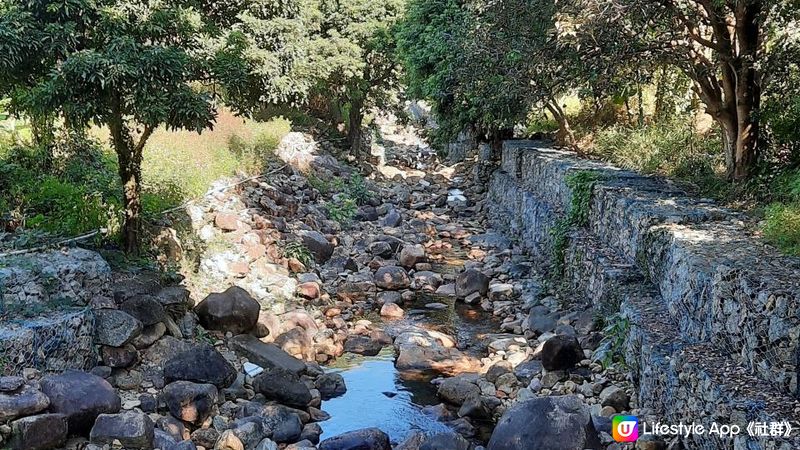 【東涌白芒至愉景灣行山篇】更樓、老虎頭觀景台、二白坳