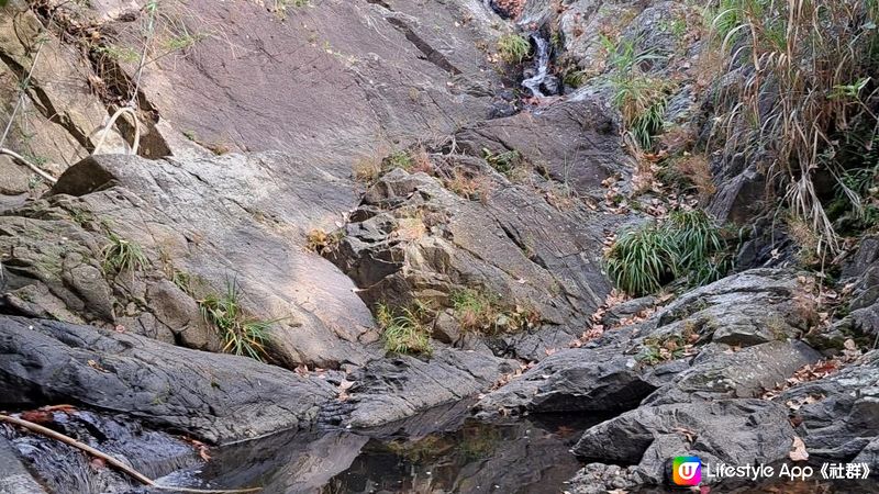 《錦田大江埔至新田行山篇》大羅天、羅天頂、龍潭山、牛潭山、小