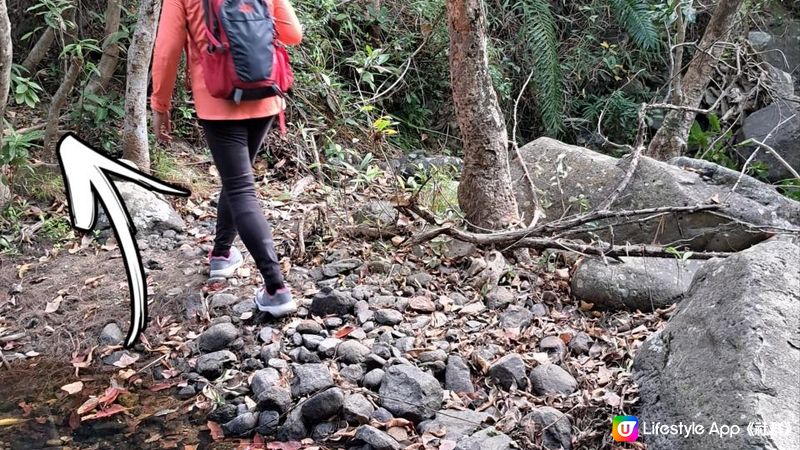 《錦田大江埔至新田行山篇》大羅天、羅天頂、龍潭山、牛潭山、小