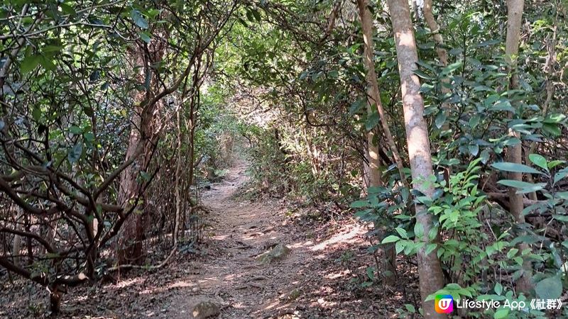 《清水灣道大坳門至布袋澳行山篇》釣魚翁、釣魚翁郊遊徑、大赤沙