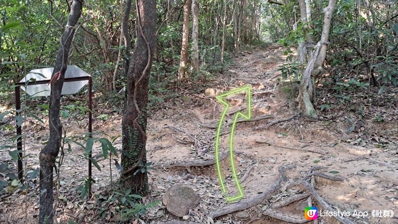 《清水灣道大坳門至布袋澳行山篇》釣魚翁、釣魚翁郊遊徑、大赤沙