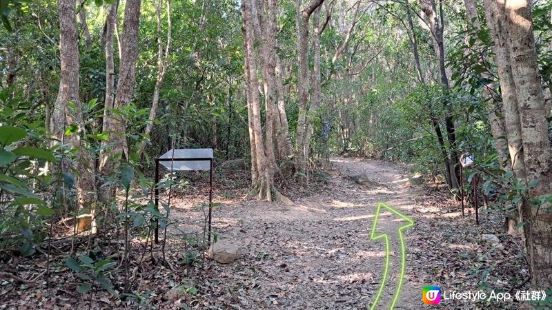 《清水灣道大坳門至布袋澳行山篇》釣魚翁、釣魚翁郊遊徑、大赤沙