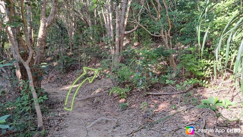 《清水灣道大坳門至布袋澳行山篇》釣魚翁、釣魚翁郊遊徑、大赤沙