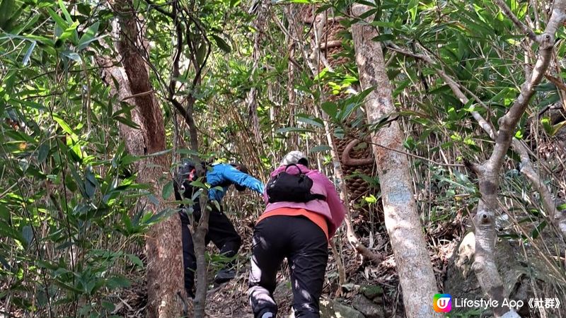 《清水灣道大坳門至布袋澳行山篇》釣魚翁、釣魚翁郊遊徑、大赤沙