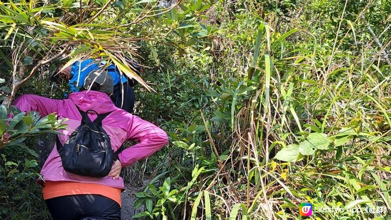 《清水灣道大坳門至布袋澳行山篇》釣魚翁、釣魚翁郊遊徑、大赤沙