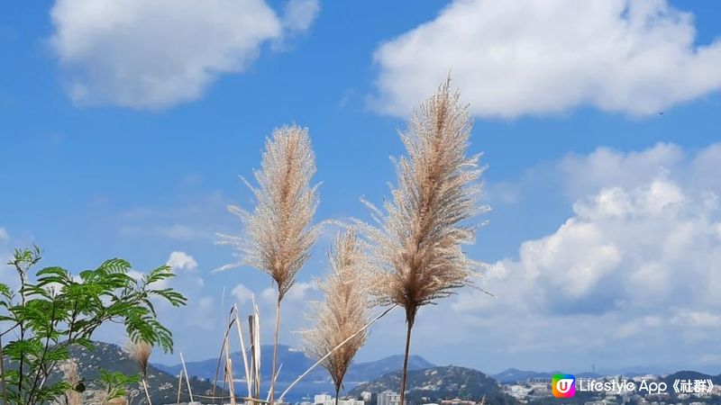 【石澳行山篇】鶴咀機槍堡、鶴咀山、石澳情人橋、大頭洲