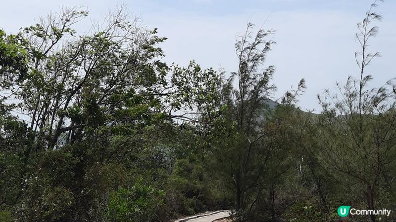 【西貢行山篇】白虎山、鎖匙扣海蝕洞、馬頭環、糧船灣