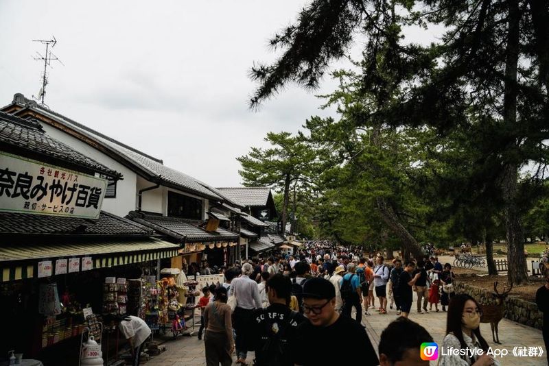 日本靚景