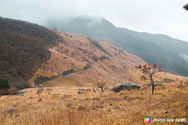 日本九州 | 大分縣 由布岳 爬上一座金黃色的火山