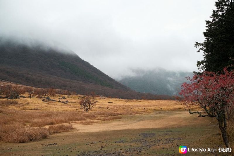 日本九州 | 大分縣 由布岳 爬上一座金黃色的火山