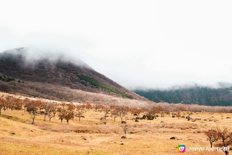 日本九州 | 大分縣 由布岳 爬上一座金黃色的火山