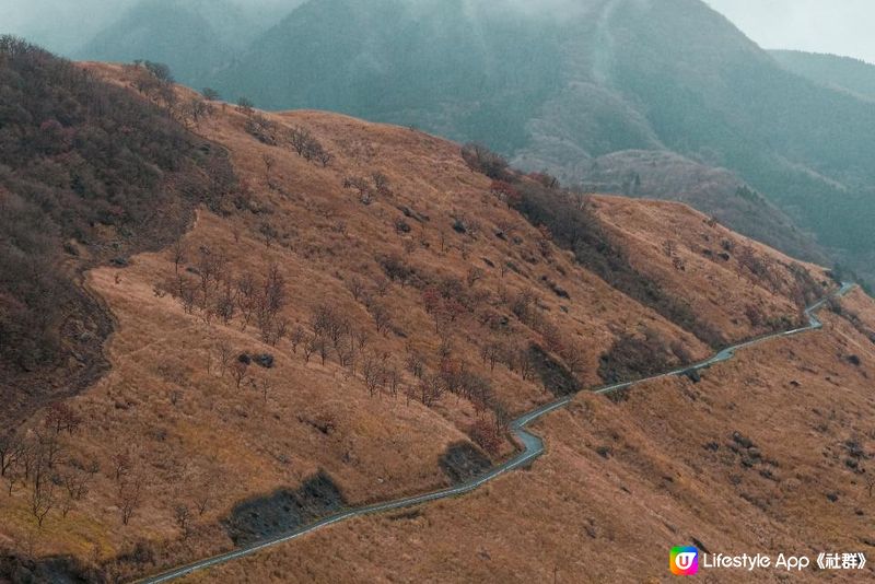 日本九州 | 大分縣 由布岳 爬上一座金黃色的火山