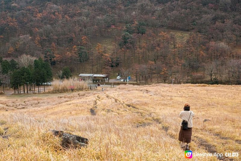 日本九州 | 大分縣 由布岳 爬上一座金黃色的火山