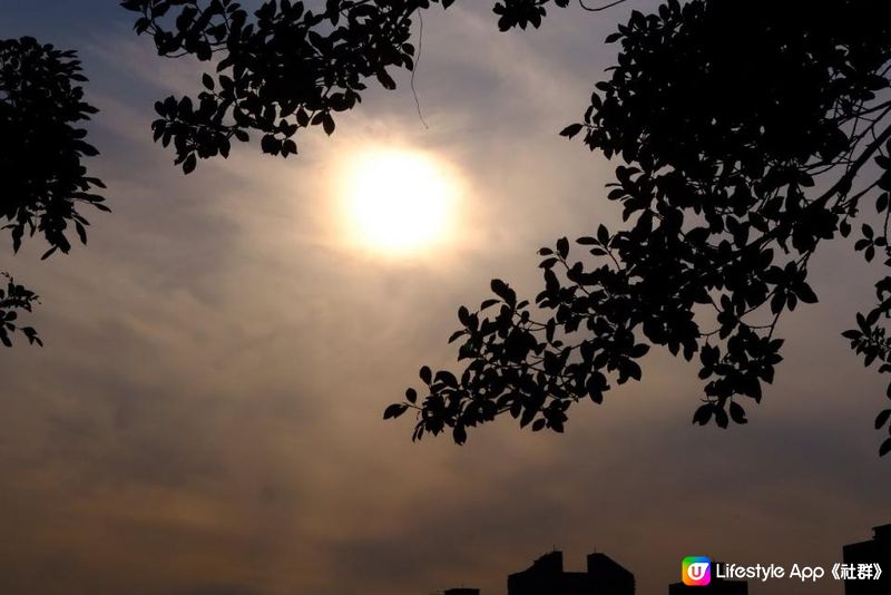 【思思賢嘆世界】台北最美日落🌇大稻埕碼頭貨櫃市集