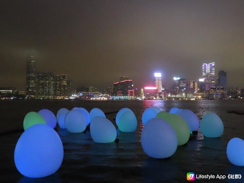 漫遊香港 - 藝術@維港2024 teamLab：光漣