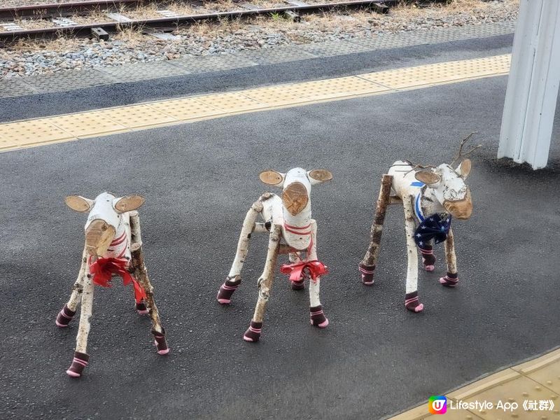 雨中遊軽井沢 再搭星空列車