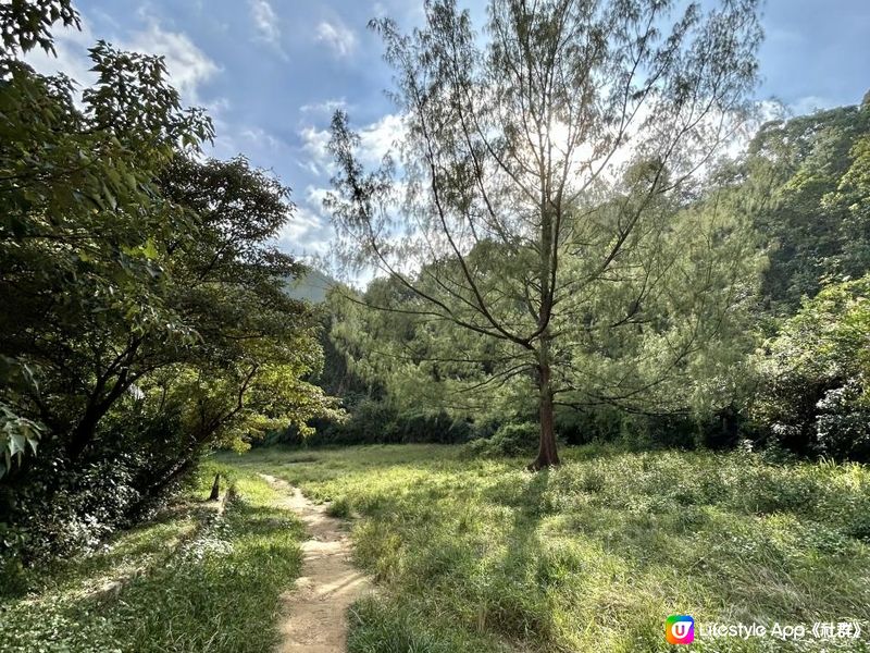 愉景灣｜眺望台美景 + 芒草打卡位 + 水塘天空之鏡｜可選擇徒步三十多分鐘或乘車五分鐘直達