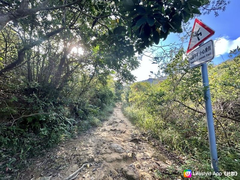 愉景灣｜眺望台美景 + 芒草打卡位 + 水塘天空之鏡｜可選擇徒步三十多分鐘或乘車五分鐘直達