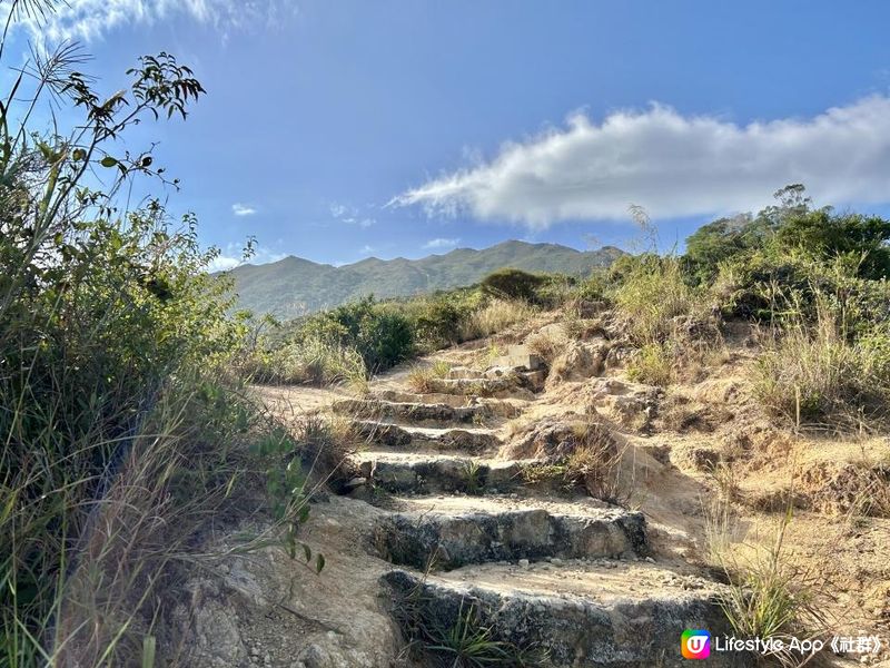 愉景灣｜眺望台美景 + 芒草打卡位 + 水塘天空之鏡｜可選擇徒步三十多分鐘或乘車五分鐘直達