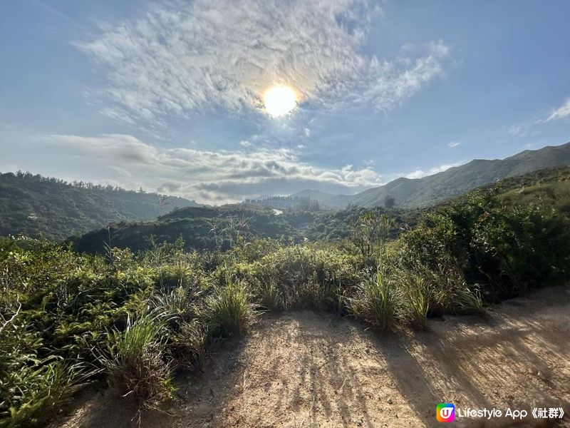 愉景灣｜眺望台美景 + 芒草打卡位 + 水塘天空之鏡｜可選擇徒步三十多分鐘或乘車五分鐘直達