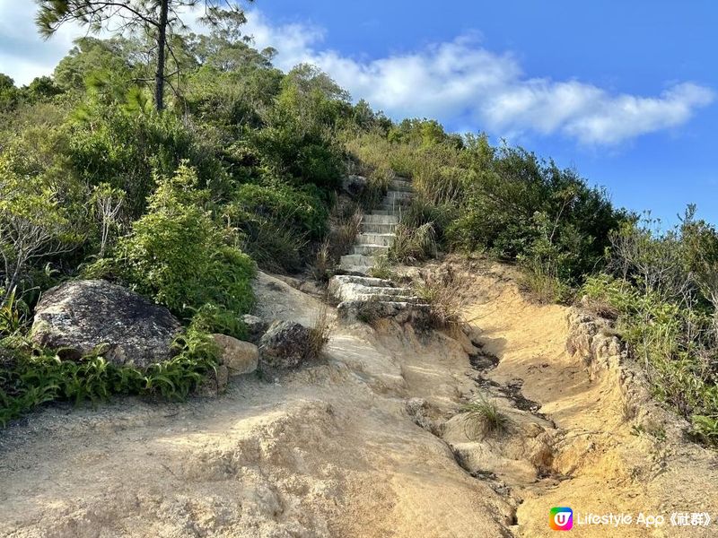 愉景灣｜眺望台美景 + 芒草打卡位 + 水塘天空之鏡｜可選擇徒步三十多分鐘或乘車五分鐘直達