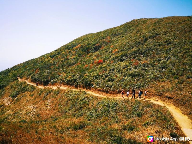 [行山要打卡] 2 - 紫羅蘭山。孖崗山