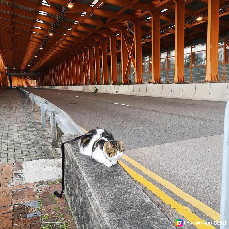 香港簡易跑步路線 11 – 荃灣海濱公園至汀九 (來回)