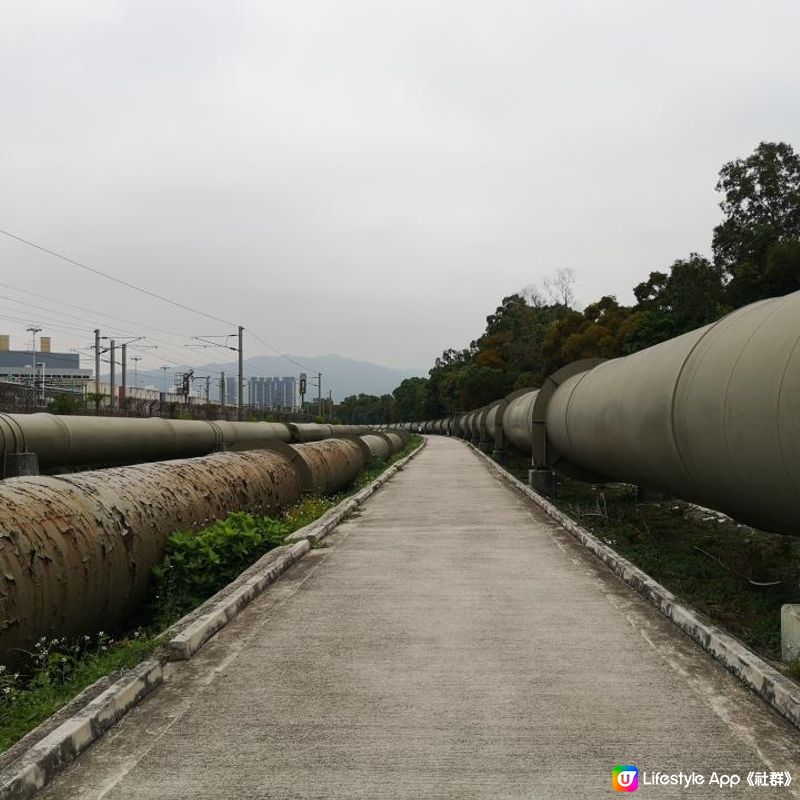 香港簡易跑步路線 6 – 上水梧桐河畔