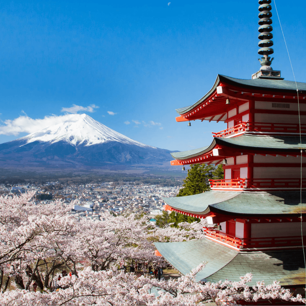 日本攻略